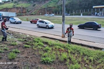 Foto - LIMPEZA GERAL